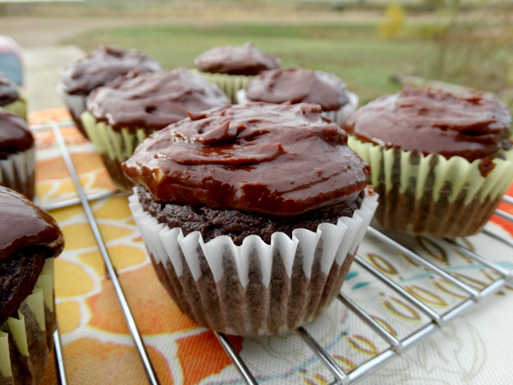 Grain-free, Dairy-free, Gluten-free {Paleo} cupcakes that still taste delicious! Credit: BloomforLife.org