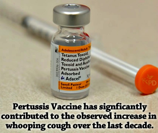 pertussis-vaccine-increase