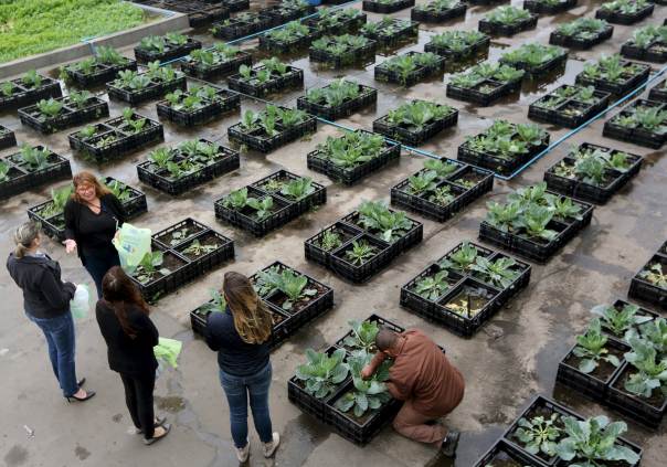 Shopping Mall Recycling all their Food Waste into Thriving Rooftop Garden for Employees