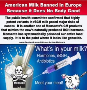 American-Milk-Banned-in-Europe-290x300