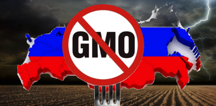 Will Russia Become the World’s Leading Non-GMO Food Producer?