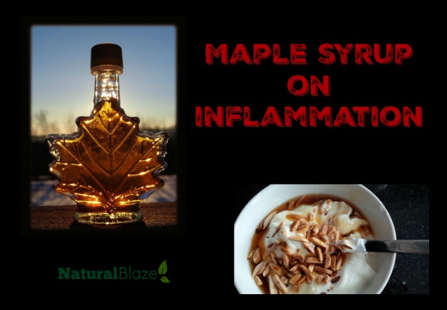 Anti-Inflammation Molecule Identified in Maple Syrup