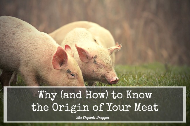 Why (and How) to Know the Origin of Your Meat
