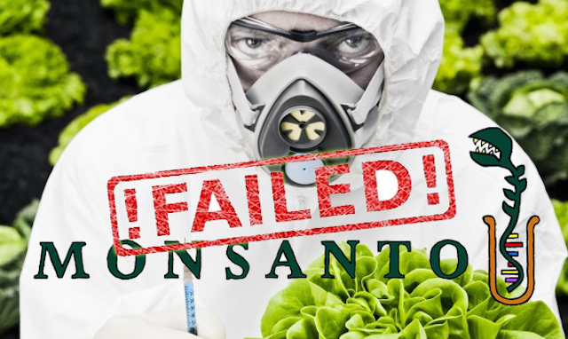 A Round-up About Monsanto’s GMOs