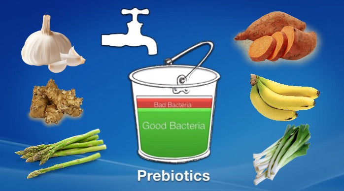 The Important Synbiotic Relationship Between Probiotics and Prebiotics