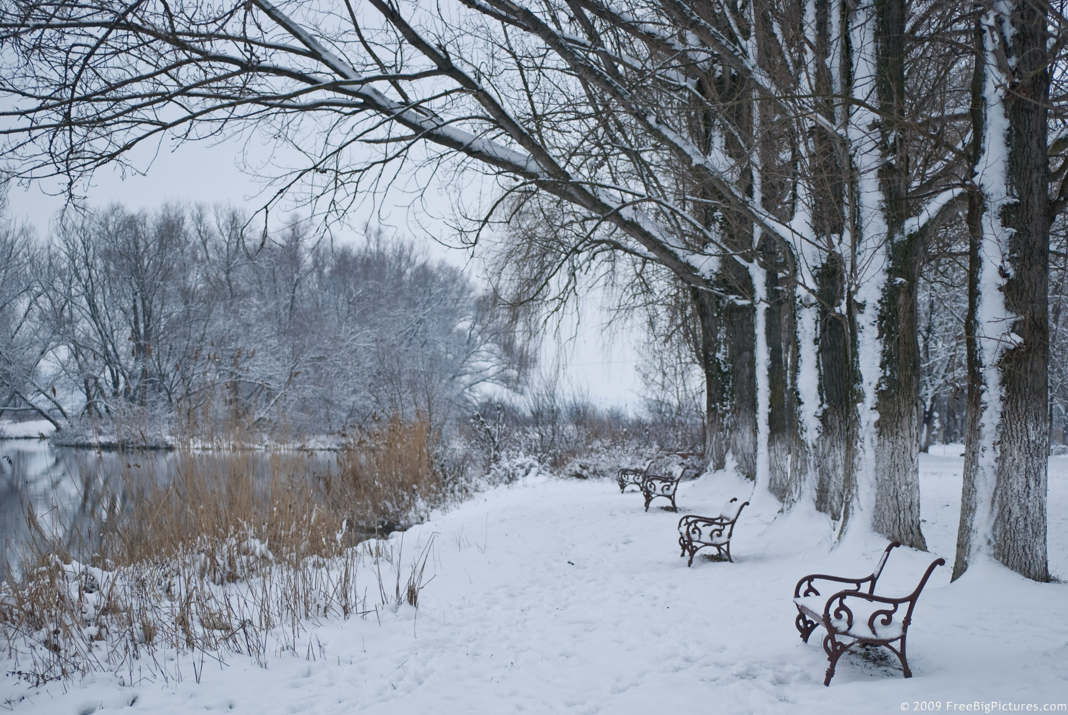 winter-scene