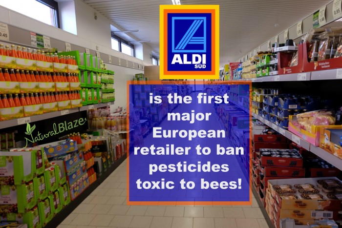Major Supermarket Bans Bee-Toxic Pesticides in Produce Production