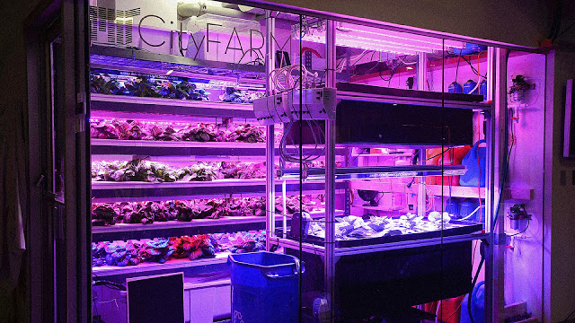 Urban Agriculture and Personal Indoor Farms