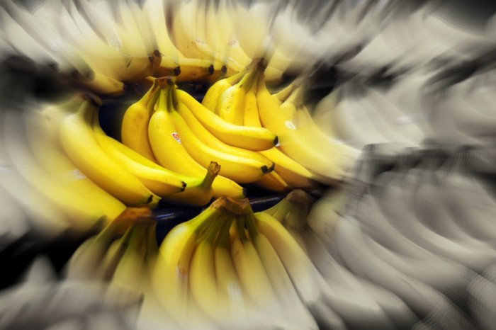 Banana May Rapidly Become Extinct From Fungus: Death of the Seedless Banana