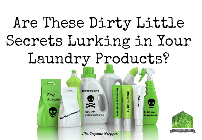 Are These Dirty Little Secrets Lurking in Your Toxic Laundry Products?