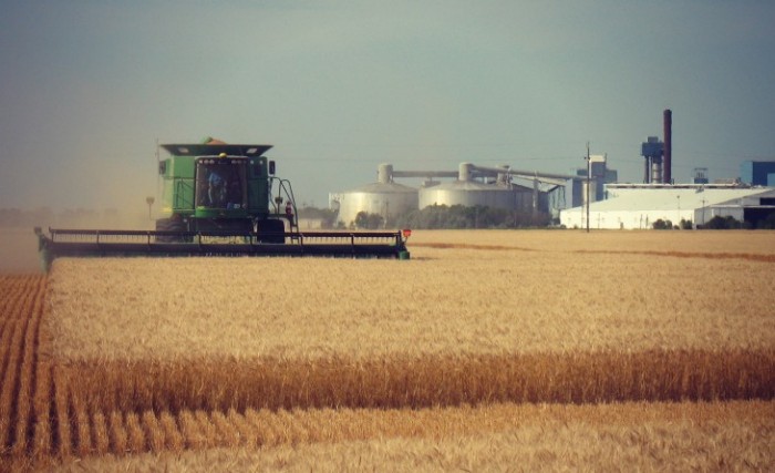 North Dakota Grain Terminal Goes GMO-Free To Meet Consumer Demand