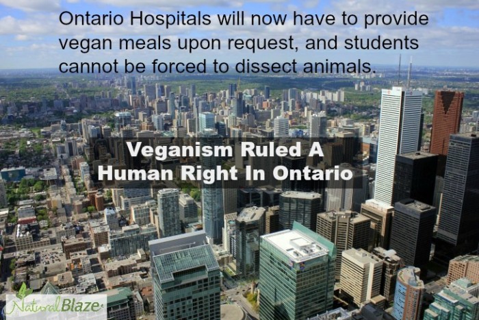 Ontario Rules Veganism A Human Right Legally Protected Against Discrimination