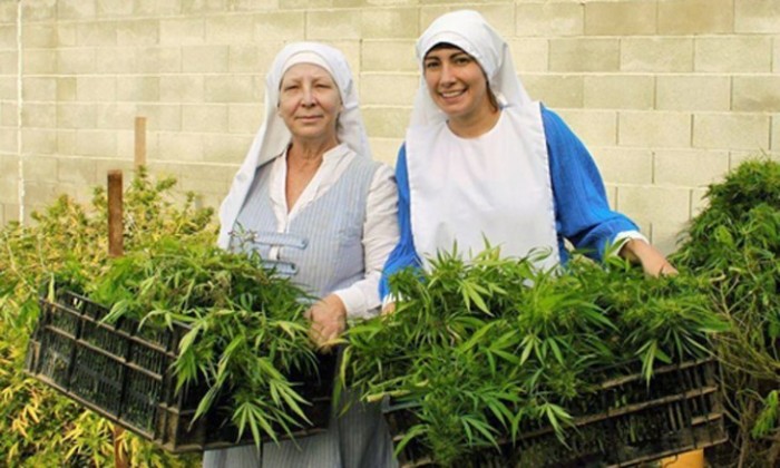 These Sister Act-ivists Grow Medical Marijuana, But Their Town Wants To Shut Them Down
