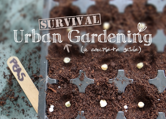 Urban Survival Gardening: A Comprehensive Grow Guide for City-Dwellers