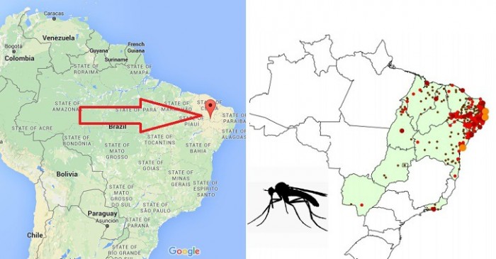 Zika Outbreak Epicenter in Same Area Where GM Mosquitoes Were Released in 2015