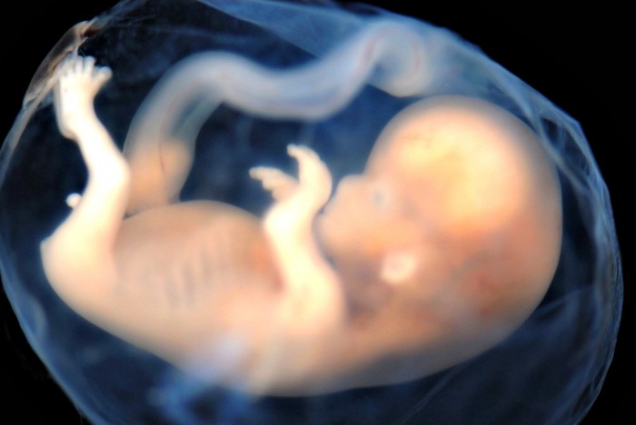 Scientists Receive Approval to Genetically Engineer Human Embryos
