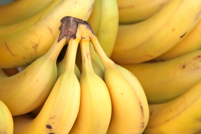 Gates Foundation to Pay Students to Eat GMO Bananas For Research