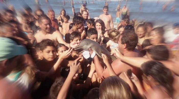 Clueless Argentinian Beachgoers Kill Rare Baby Dolphin While Taking Selfies