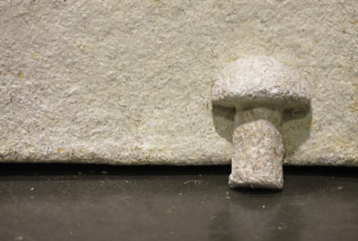 Ikea To Use Mushroom-Based Packaging That Will Decompose In A Garden Within Weeks