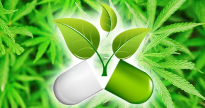 New Cannabis Capsule is So Effective That It’s Replacing Big Pharma Painkillers