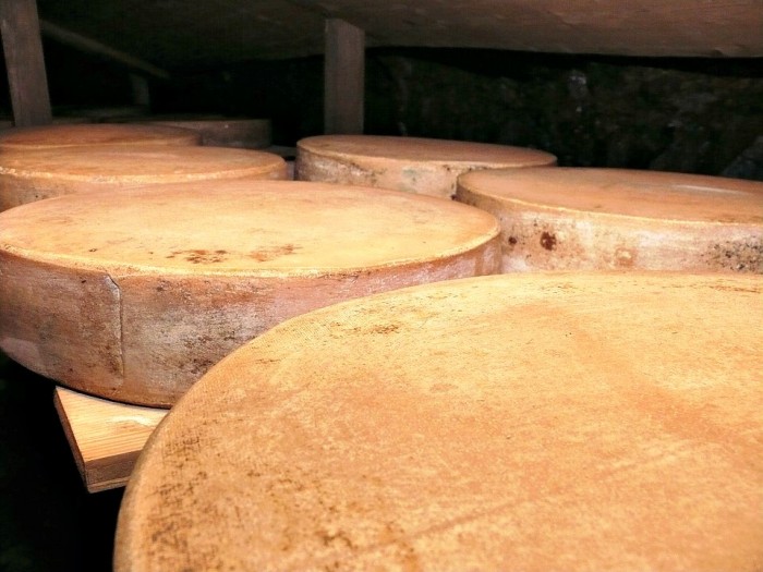 There’s Just One Problem with America’s Parmesan Cheese: Most of It Contains Wood