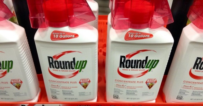Study: FDA Allows Glyphosate in Your Food Based on Monsanto’s Faulty Research