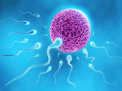 Israeli Study: Your Cell Phone is Killing Your Sperm