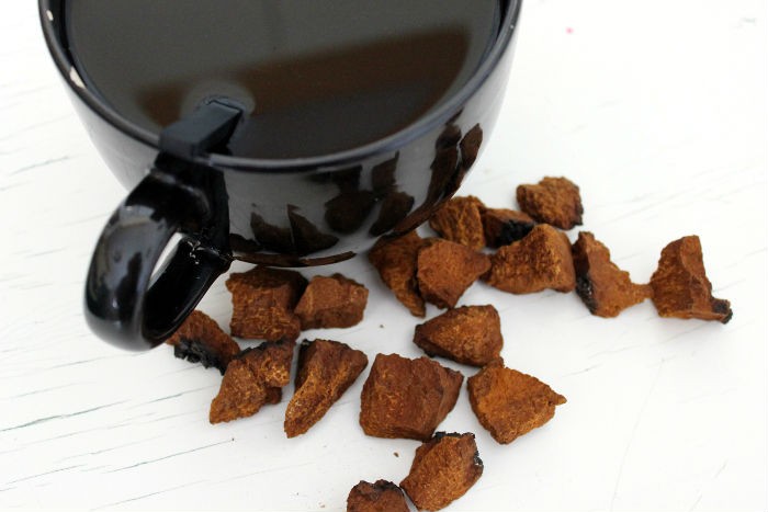 Chaga Tea A Powerful Weapon Against Cancer