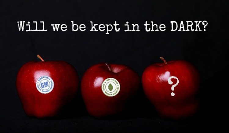apples-GMO-DARK-Act-620x360-1