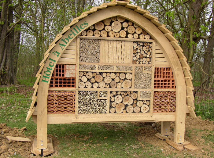 How to Build Your Own Bee Hotel to Help Save Native Bees