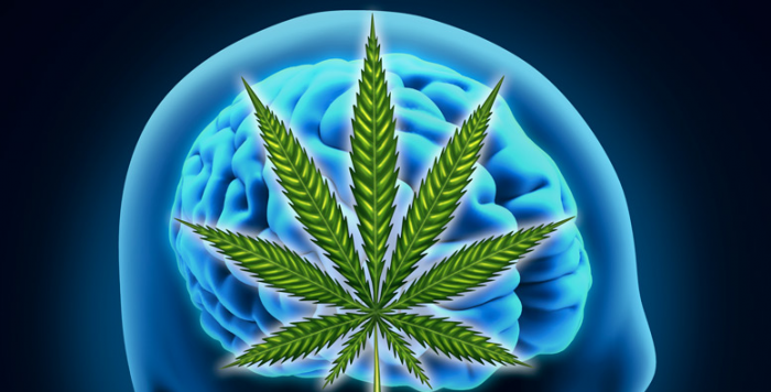 FDA Approves Use of Marijuana Derived CBD Drug for Epilepsy on Eve of 4-20