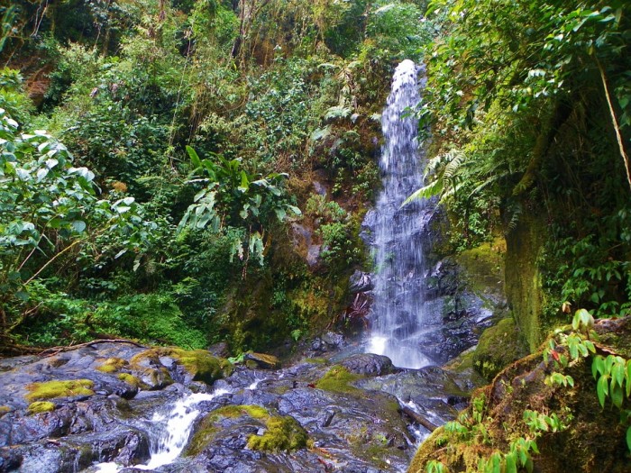 4 Things You Notice in Costa Rica That You Don’t See in the U.S.