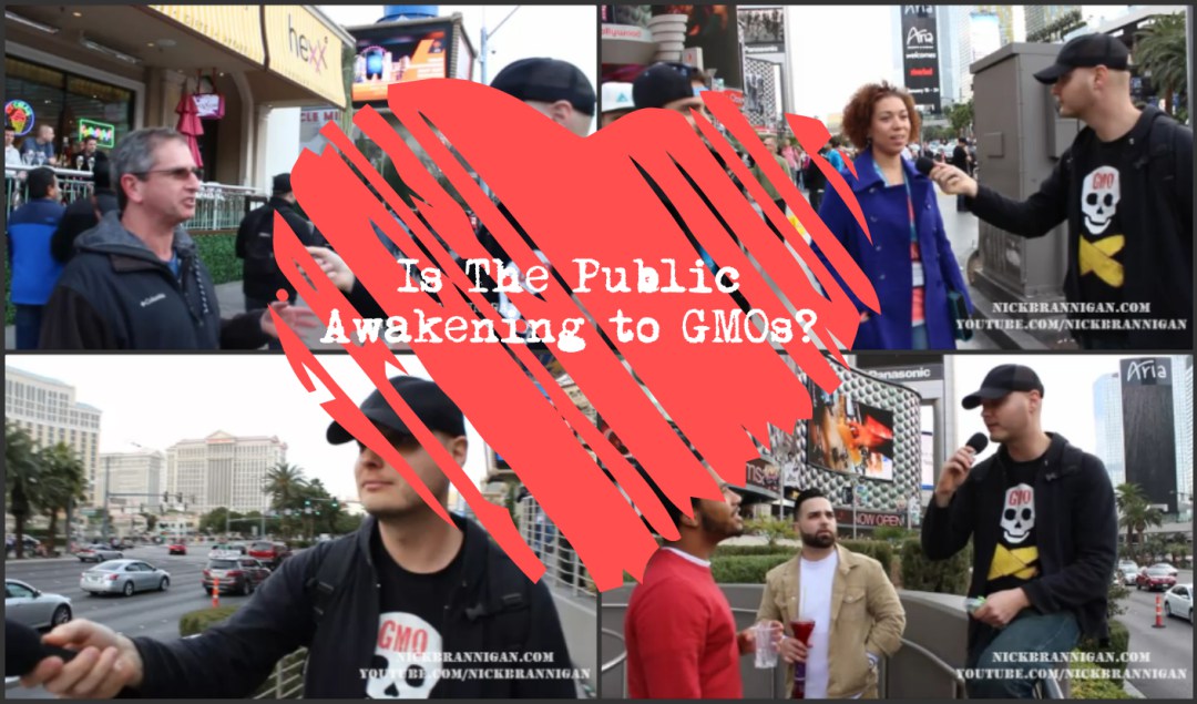 public-awakening-gmos