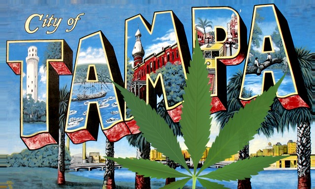Tampa City Votes to Decriminalize Possession of Small Amounts of Cannabis