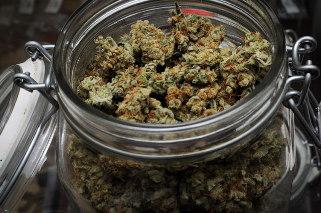 DEA To Look At “Rescheduling” Marijuana Over Next Few Months