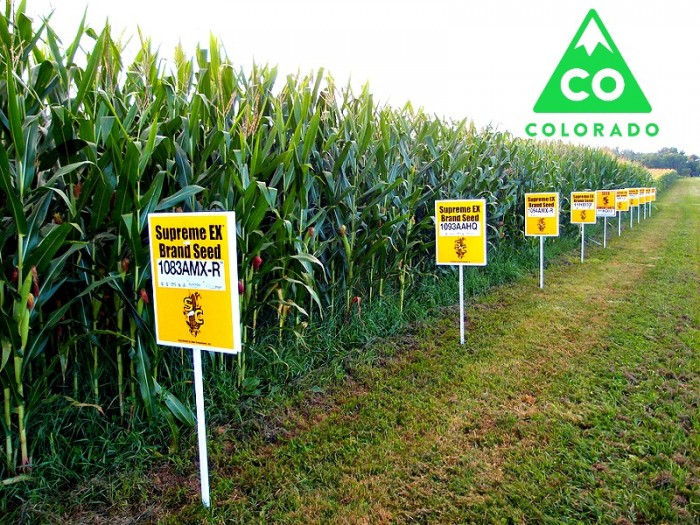 Boulder County Makes a Bold Move Towards Eliminating GMOs