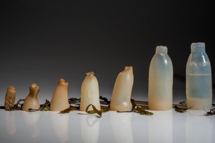 Fashionable Algae Water Bottle Maintains Shape Until Empty, Then It Breaks Down