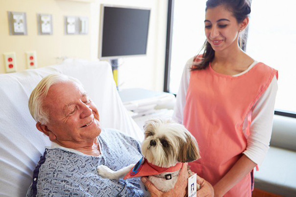 This Hospital Allows Pets To Visit Sick Humans To Help Them Feel Better [Watch]