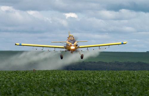 Seattle, Olympia to be Sprayed With Bacteria Used For GMO Genetics (Bt): to Treat Moths