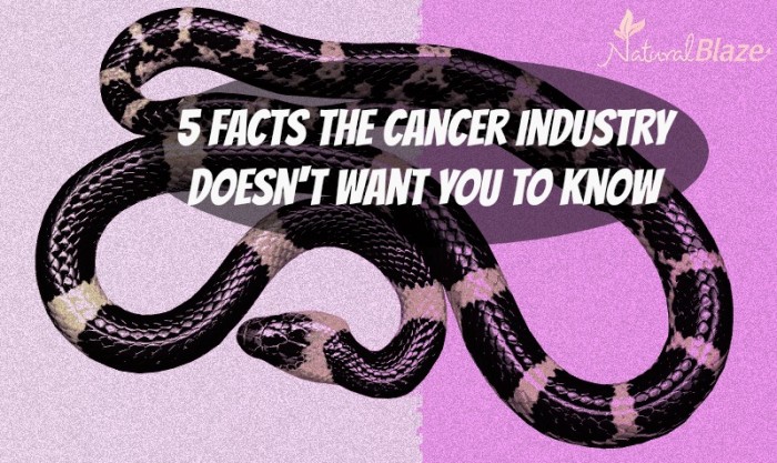 5 Facts On Cancer That Conventional Medicine Is Now Aggressively Claiming Are Myths