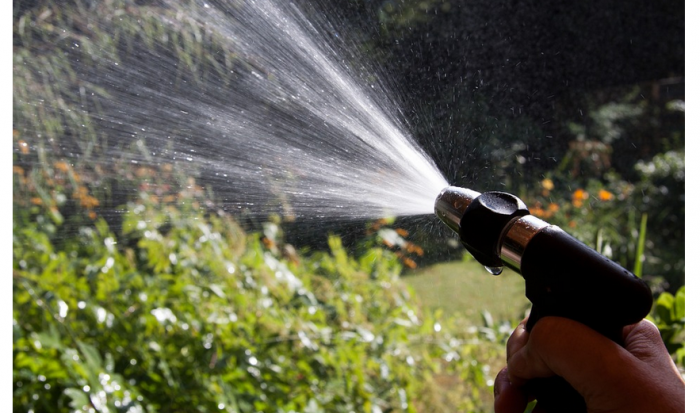Watering Your Garden with City Water Injects Pharmaceuticals Into Your Veggies