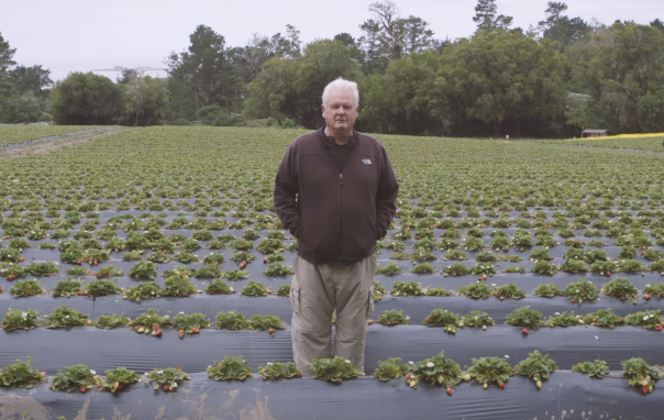 Poisoned By Pesticides: How One Farmer Changed Trial Into Triumph With Organic Crops