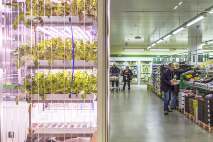 The Next Big Trend: Farming In Your Supermarket