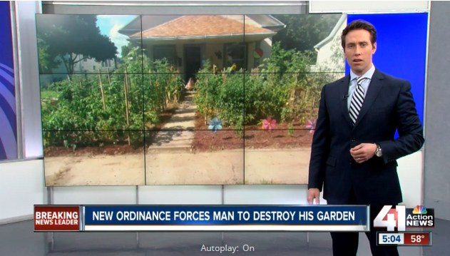 City Forces Family to Destroy Their Vegetable Garden