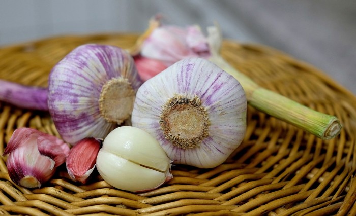 The Healing Power Of Garlic Supported By New Scientific Study