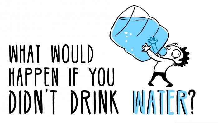 What Would Happen if You Never Drank Water