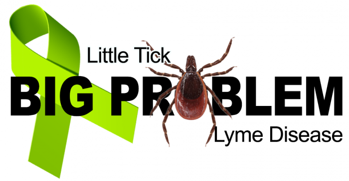 Lyme Action Network to Host Science and Policy Forum on Capitol Hill