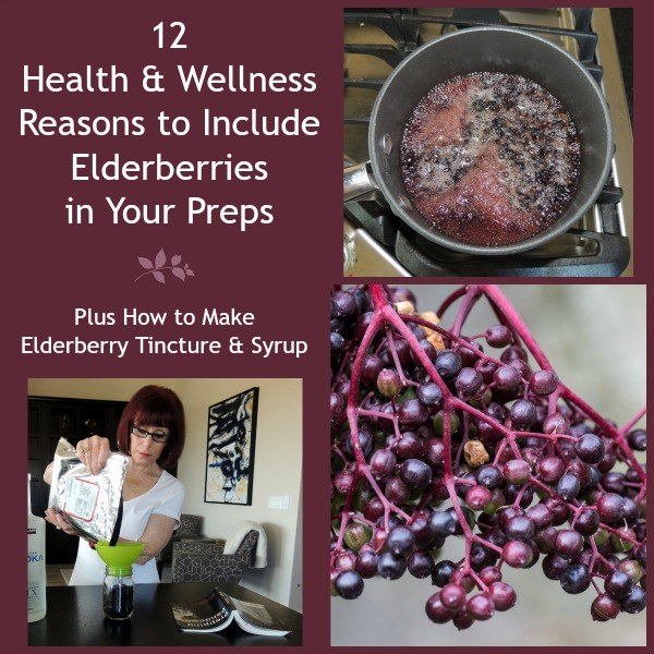 12 Wellness Reasons to Include Elderberries in Your Preps