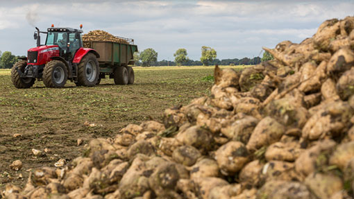 Big Candy Breaks Up With GMO Sugar Beets, Leaves GM Producers in Lurch