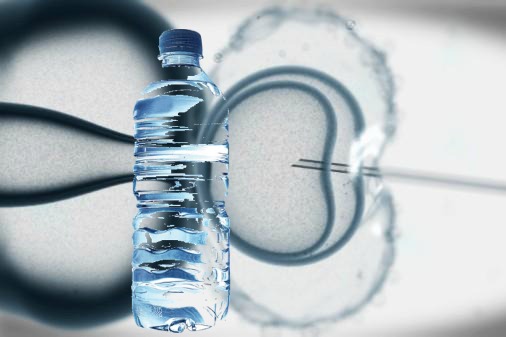 BPA Shown to Have Damaging Effects On In Vitro Fertilization
